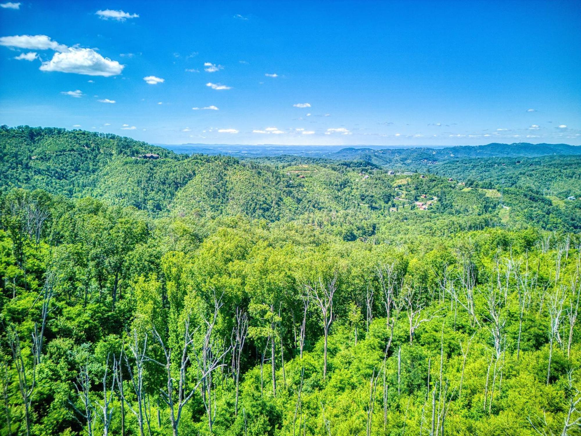 Key Lime Pie, Hot Tub,Wifi, 1089 Free Tickets Each Paid Day, Dollywood And More Gatlinburg Exteriör bild